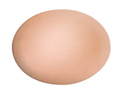 Copper Domed Oval Blanks, Pack of 6, 40.0mm X 30.0mm X 0.9mm