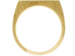 9ct Yellow Gold Initial Ring Rectangular 14x9mm Hallmarked Head Depth 1.2mm Size O