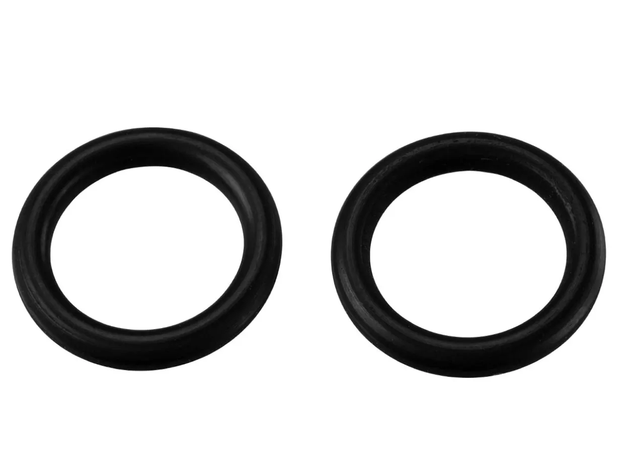 Elma Replacement O-ring For Elmasteam Units