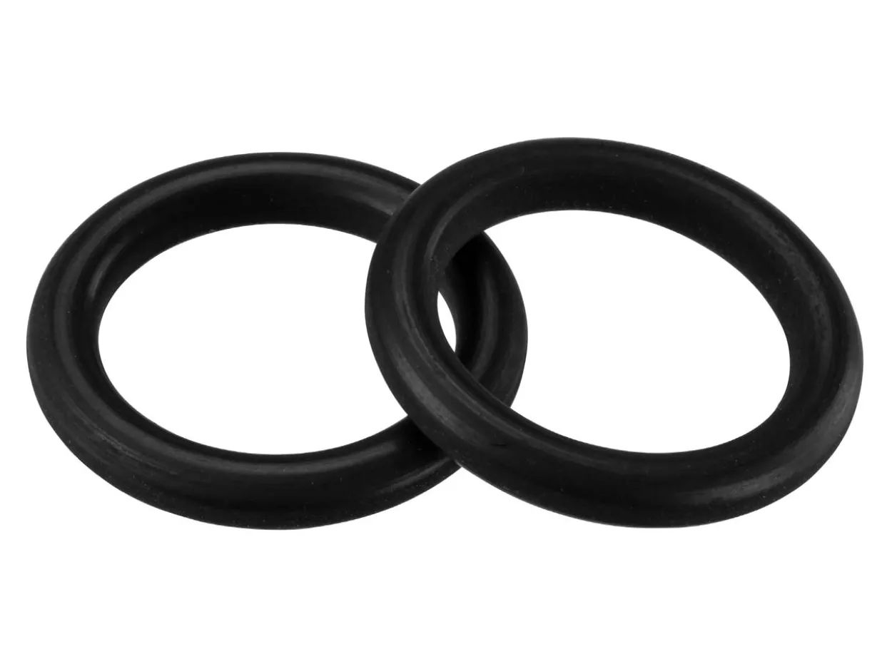 Elma Replacement O-ring For Elmasteam Units