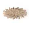 Eve Starflex Twist Radial Abrasive Disc, Orange, Extra Fine Grit, 19mm