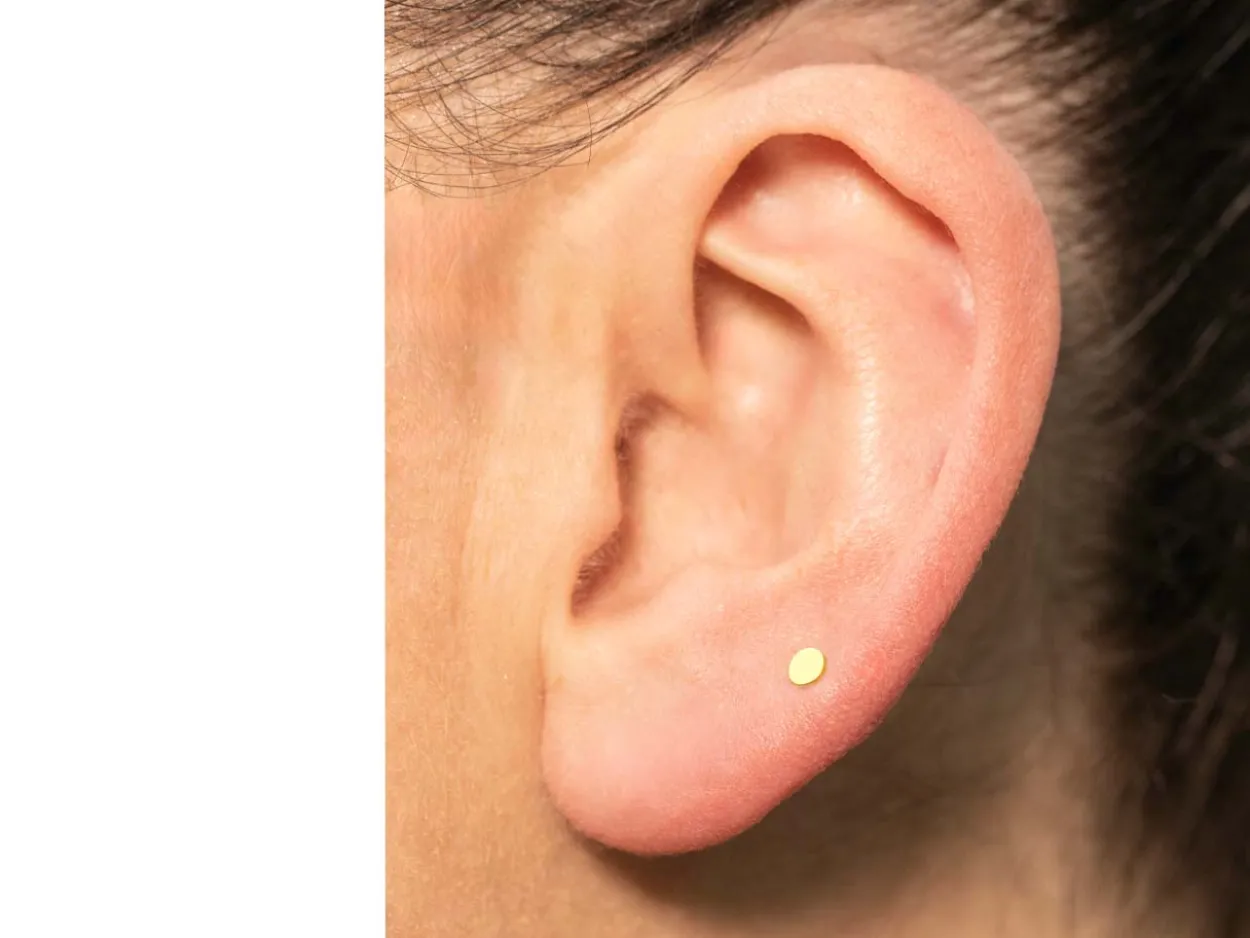 Gold Filled Circle Labret Stud Earrings