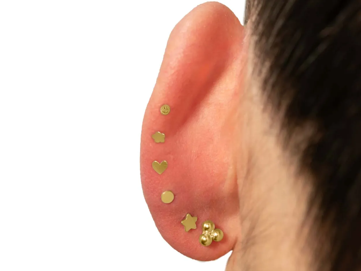 Gold Filled Flower Labret Stud Earrings