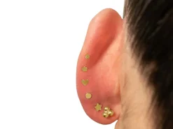 Gold Filled Star Labret Stud Earrings