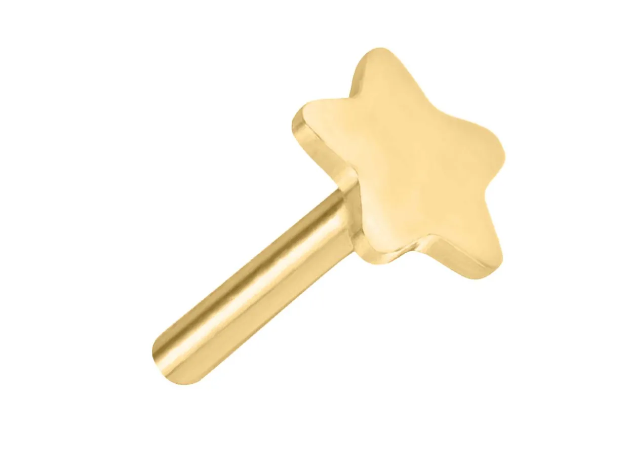 Gold Filled Star Labret Tube 3mm