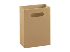 Kraft Gift Bag Medium Pack of 10