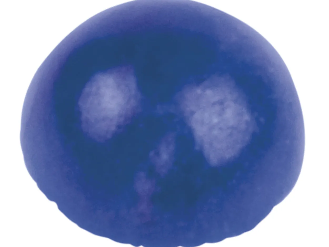 Lapis, Round Cabochon, 4mm