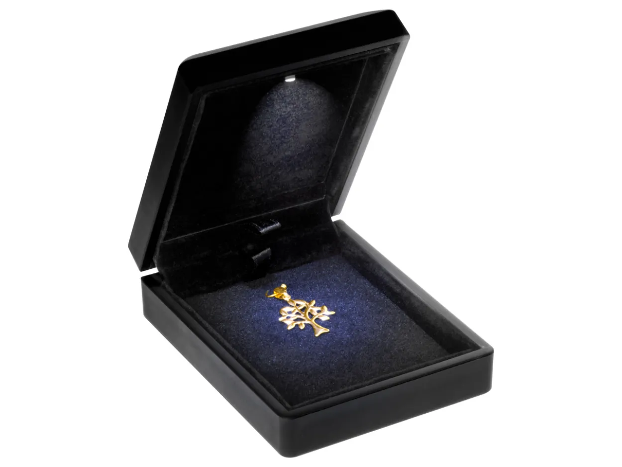 LED Black Jewellery Pendant Box