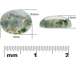 Moss Agate, Oval Cabochon 10x8mm