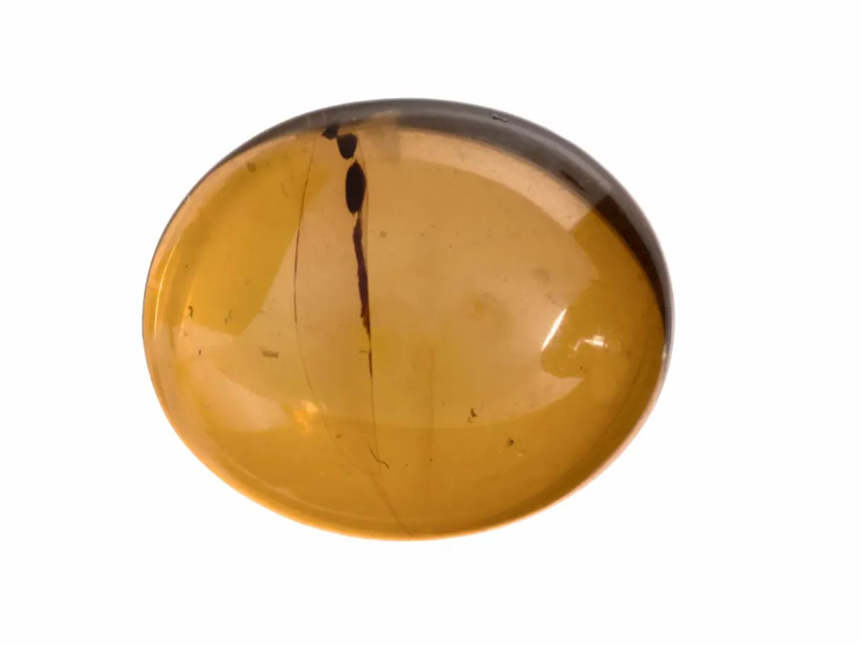 Natural Amber, Oval Cabochon, 12x10mm