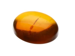 Natural Amber, Oval Cabochon, 12x10mm