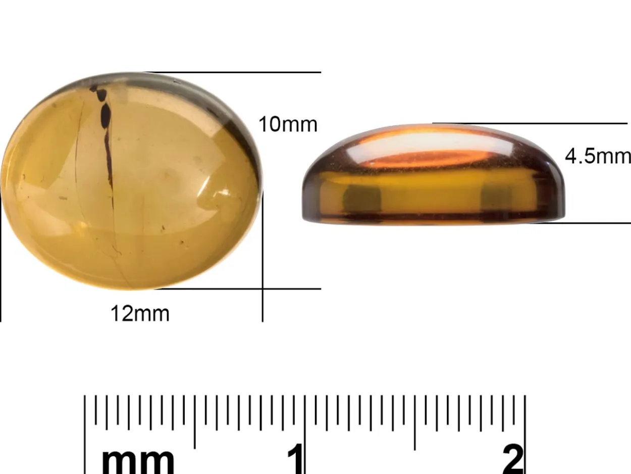 Natural Amber, Oval Cabochon, 12x10mm
