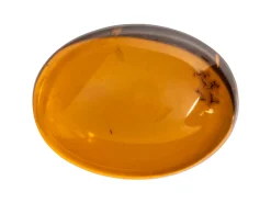 Natural Amber, Oval Cabochon, 16x12mm