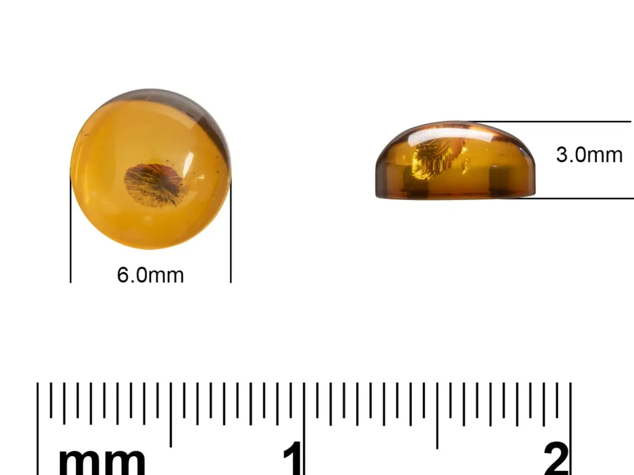 Natural Amber, Round Cabochon, 6mm