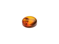 Natural Amber, Round Cabochon, 5mm