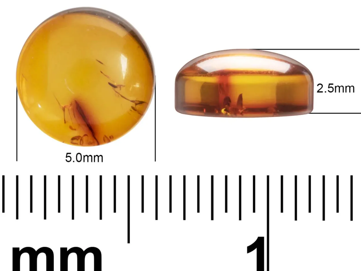 Natural Amber, Round Cabochon, 5mm