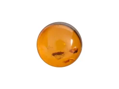 Natural Amber, Round Cabochon, 8mm