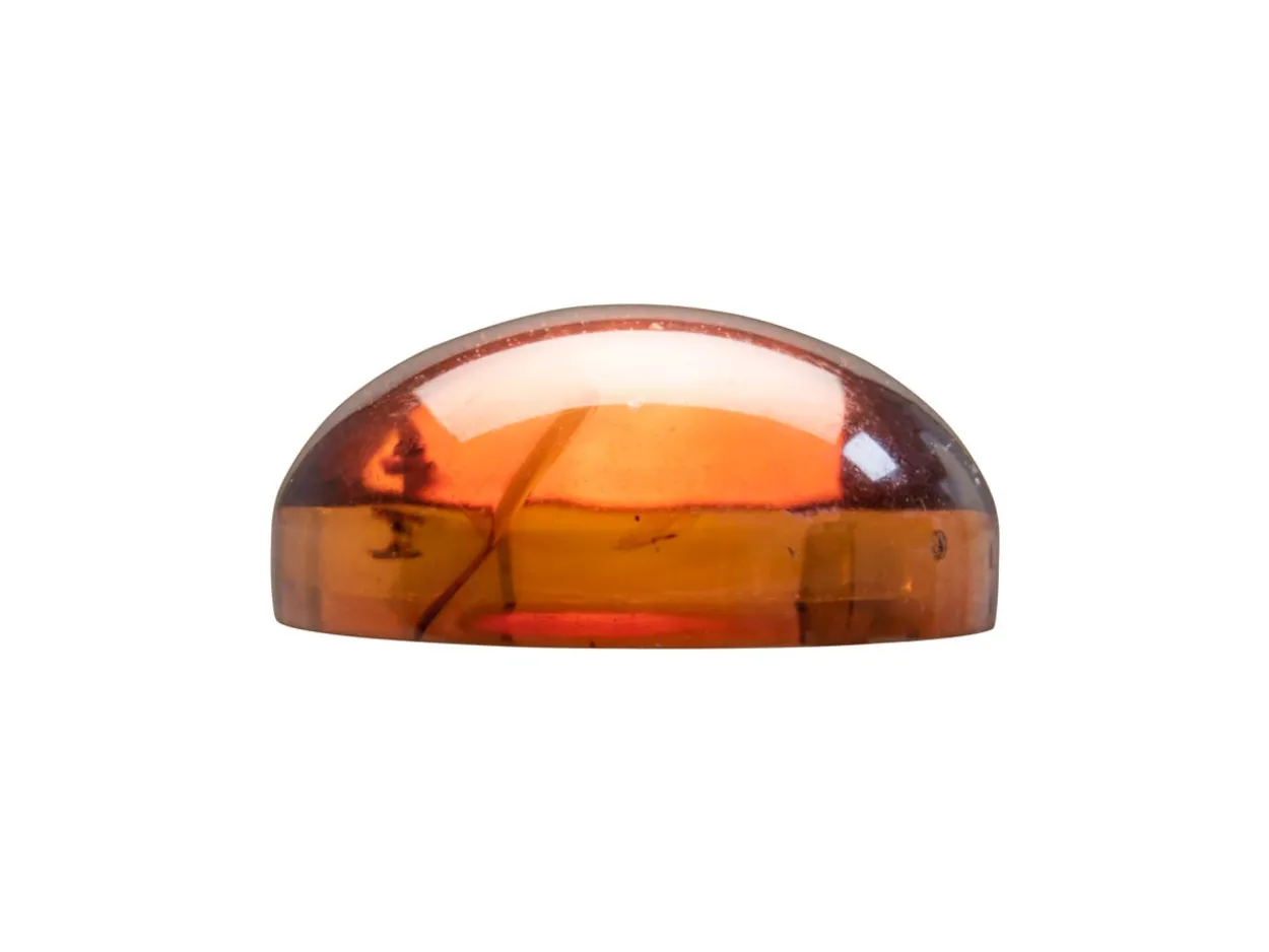 Natural Amber, Round Cabochon, 12mm