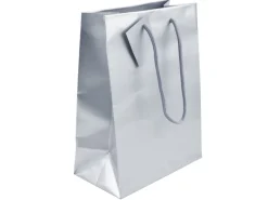 Silver Gloss Gift Bag, Small Pack of 5 170x120x75mm