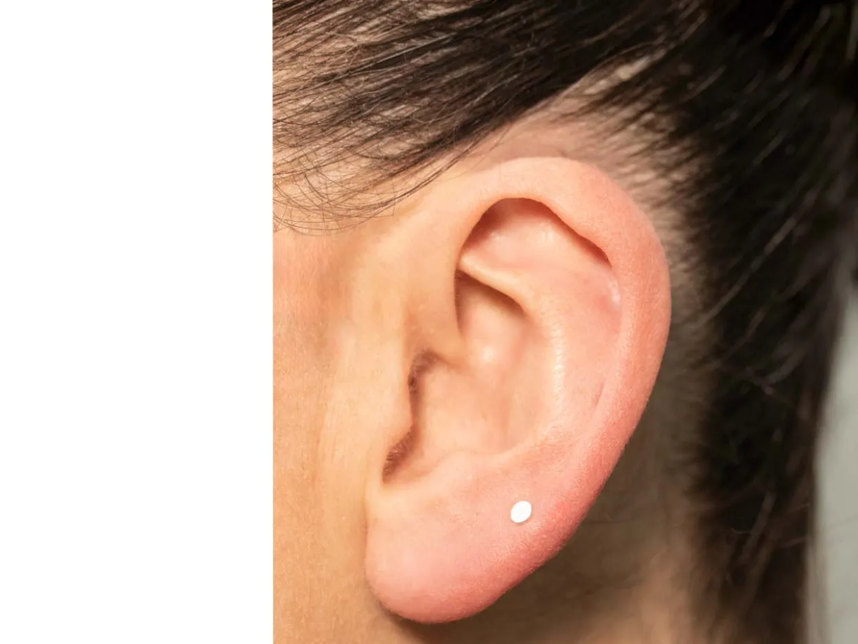 Sterling Silver Circle Labret Stud Earrings
