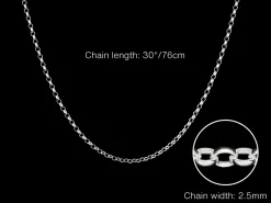 Sterling Silver 2.5mm Oval Belcher Chain 30