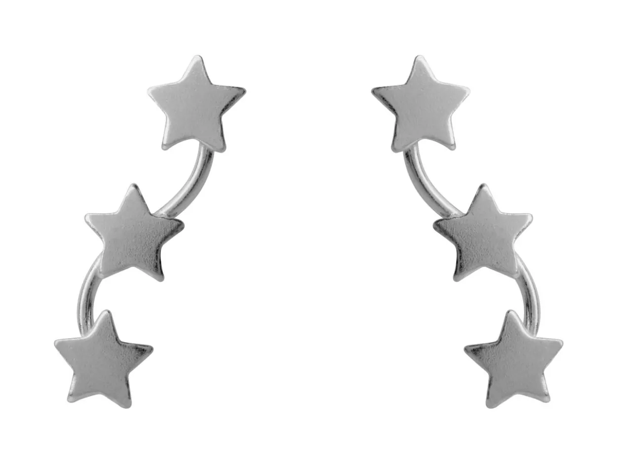 Sterling Silver Star Bar Design Earrings