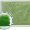 WG Ball Painting Colours Enamel Dark Green 11799 25g Lead Free