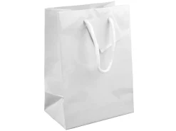 White Gloss Gift Bag, Small Pack of 5 170x120x75mm