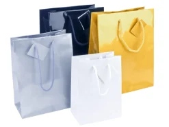 White Gloss Gift Bag, Small Pack of 5 170x120x75mm